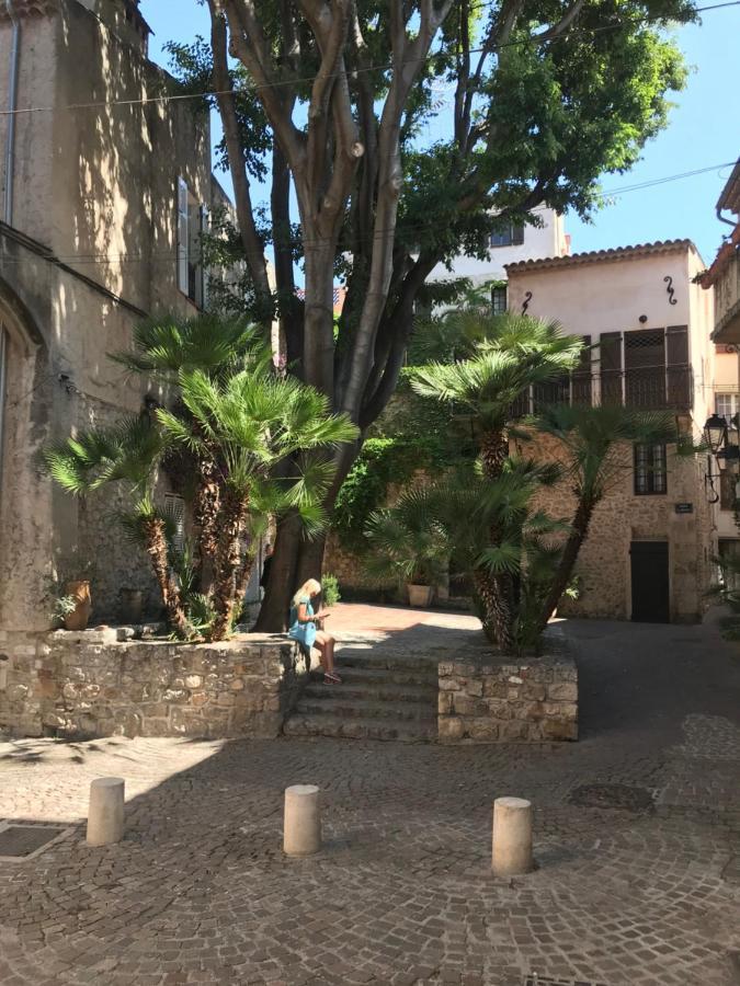 شقة Antibes Tres Belle Situation ! المظهر الخارجي الصورة