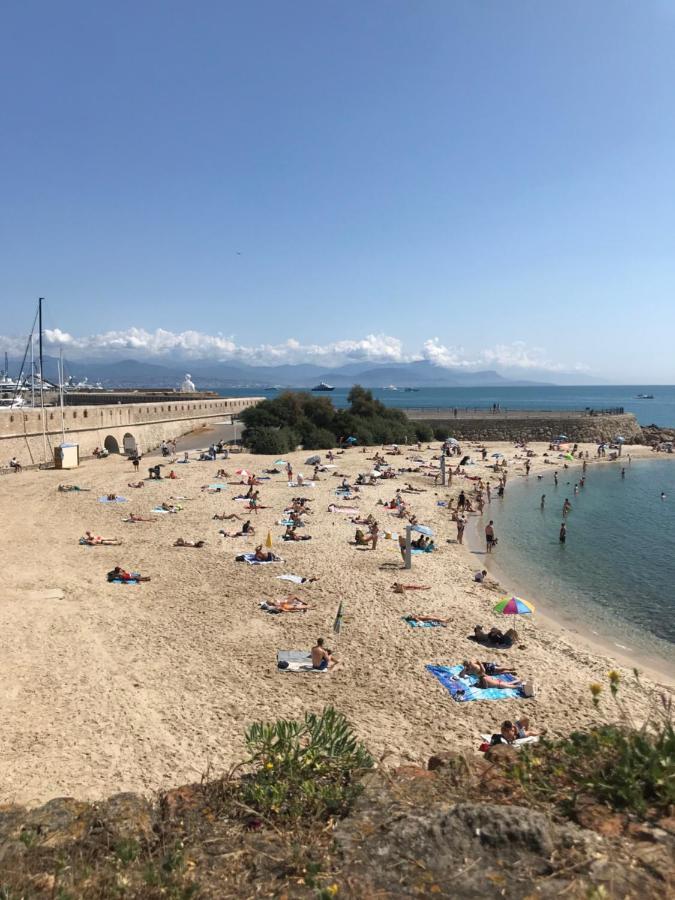 شقة Antibes Tres Belle Situation ! المظهر الخارجي الصورة